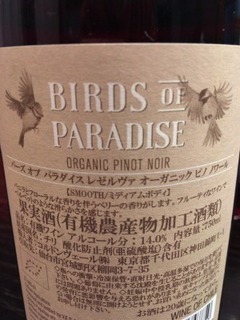 Bird of paradise.jpg