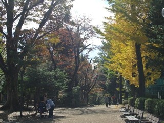 DSC_4035~01.jpg