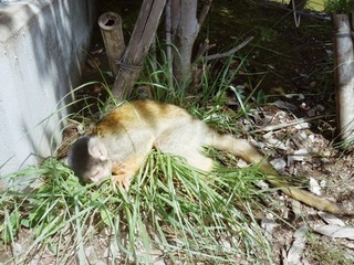 IMG_3139.JPG