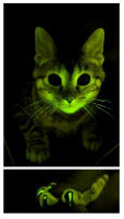 ah_cat.jpg
