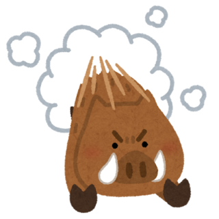 inoshishi_chototsu_moushin.png